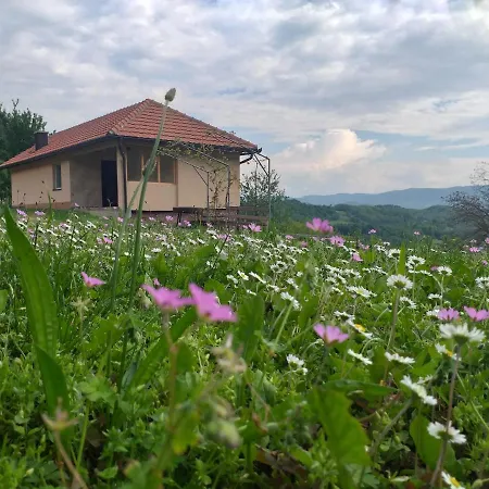 Etno House Jakic Bajina Basta