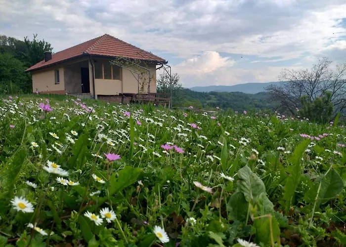 Etno House Jakic Dom wakacyjny Bajina Basta