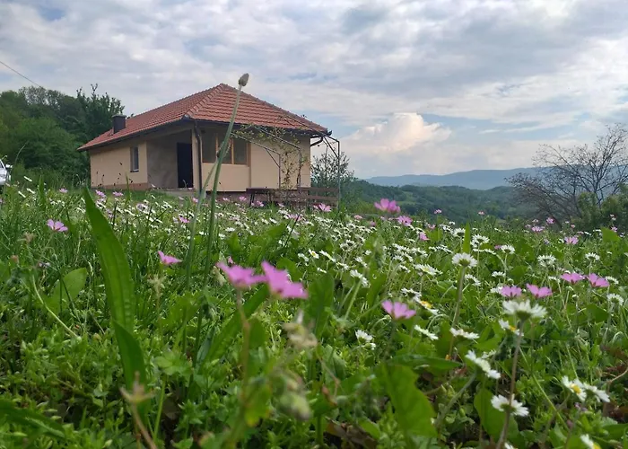 Etno House Jakic Bajina Basta